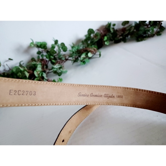 De Vecchi by Hamilton Hodge Genuine American Alligator Leather Buckle Belt - Picture 6 of 16